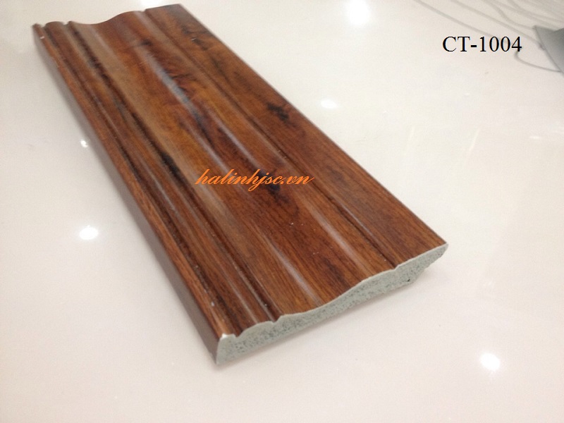 CT1004