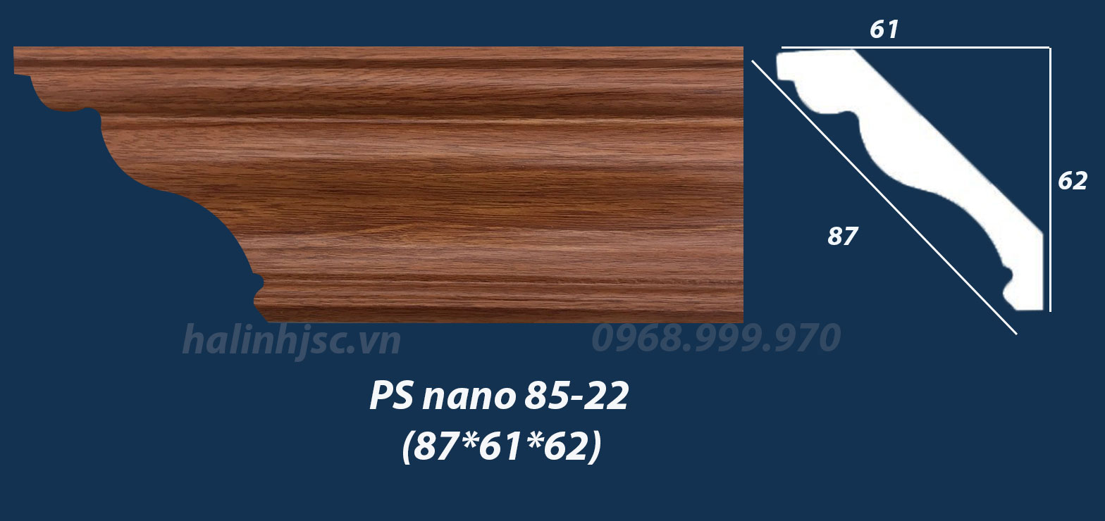 PS nano 85-22