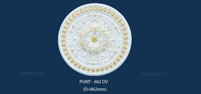PUMT 862 DV