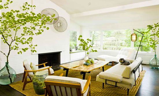 Trang trí nhà bằng cây xanh tạo sự thân thiện với môi trường